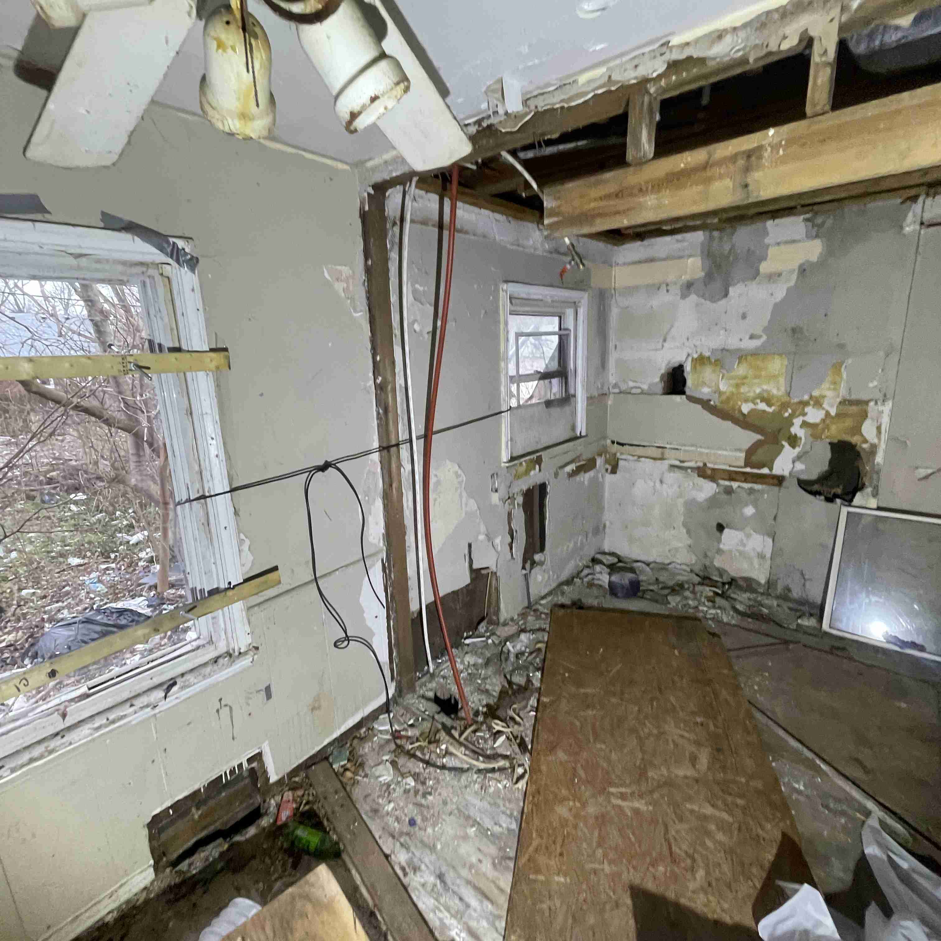 20017 Schoenherr (71).jpg